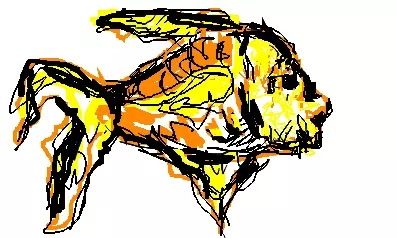 fish.webp