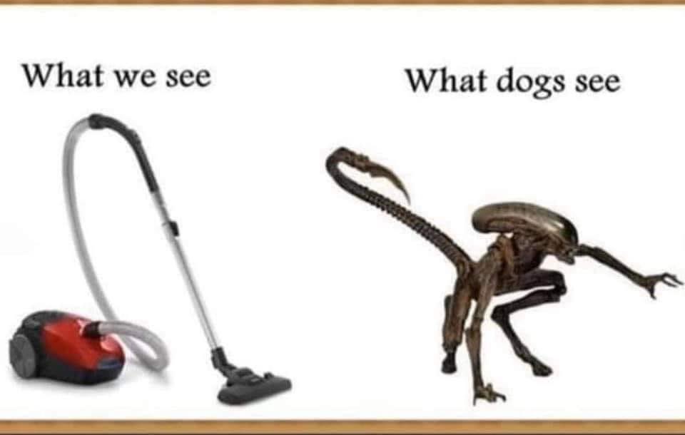 FkkvvPOWYAE_u6D.jpeg