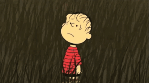 FlakyIncompleteHalicore-max-1mb.gif