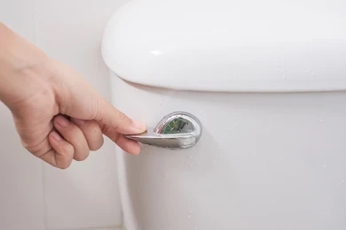 flush.webp
