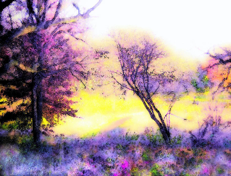 forest.webp
