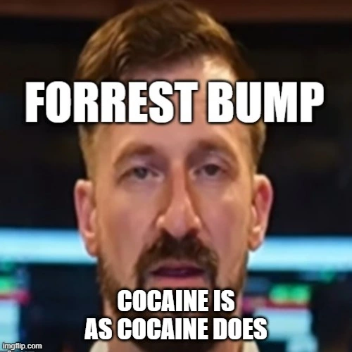 ForrestBump2.webp