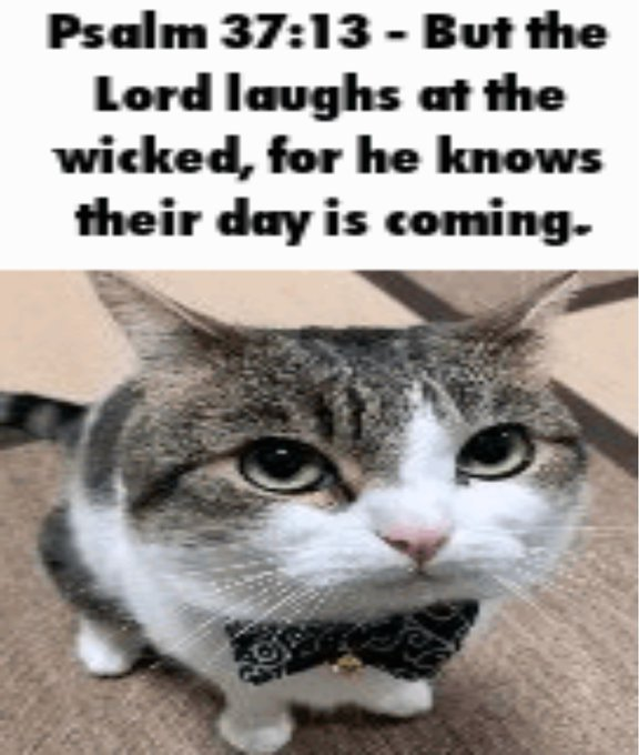 FpIp_u8X0AE_Edl.png
