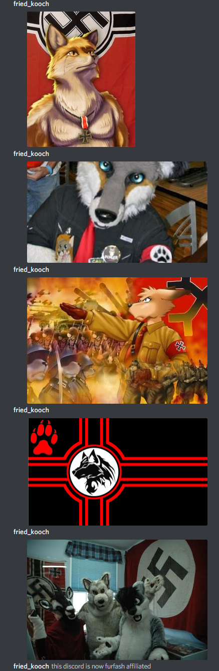fried furfash.PNG