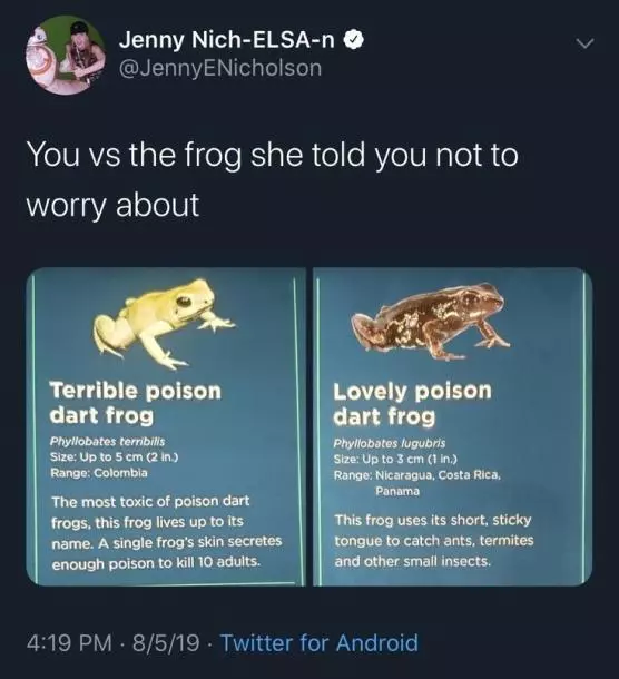 frogworry.webp