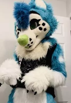 Fullsuit 2.webp