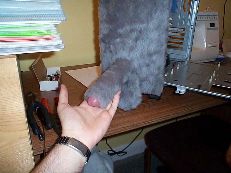 furry computer 2.jpg