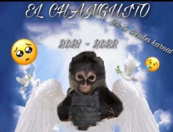 FV4ygxfX0AA4lJu.jpg