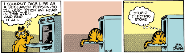 ga781018.gif