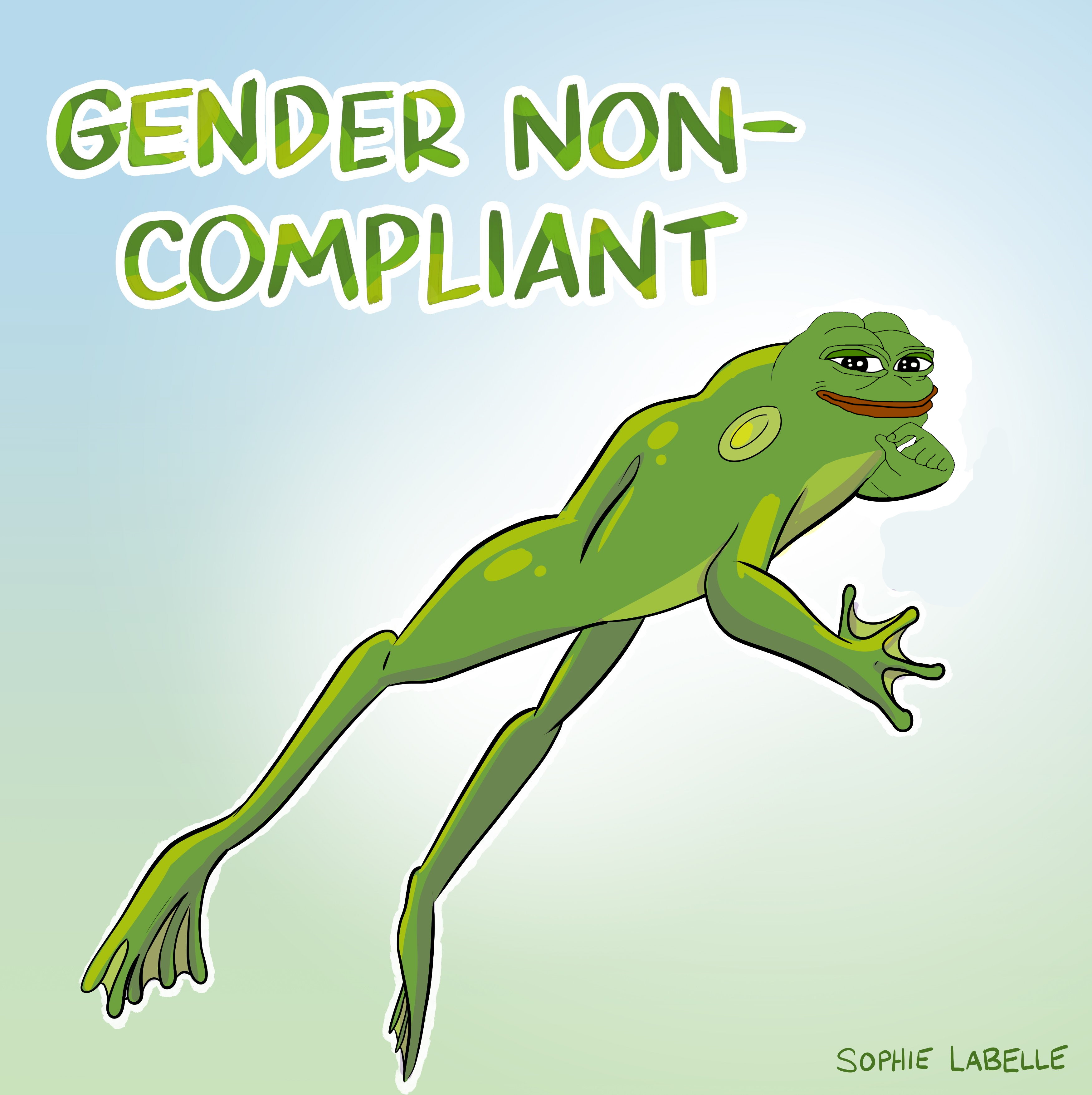gendernonsensepervert.jpg