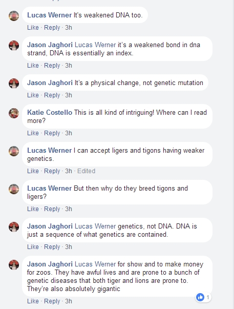 Genetics.jpg