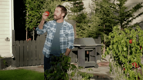 giphy.gif