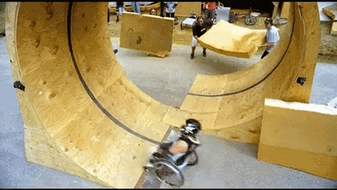 giphy.gif