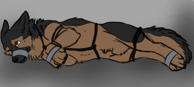 giz3.png