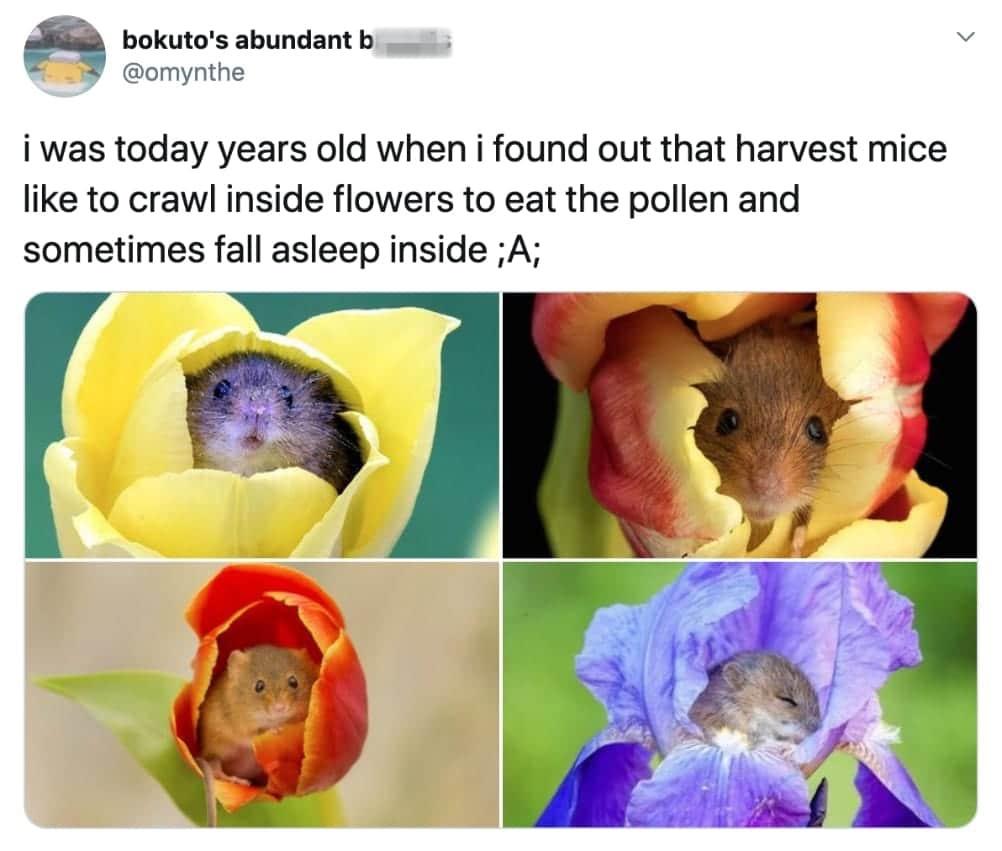 gNSYXJf.jpeg