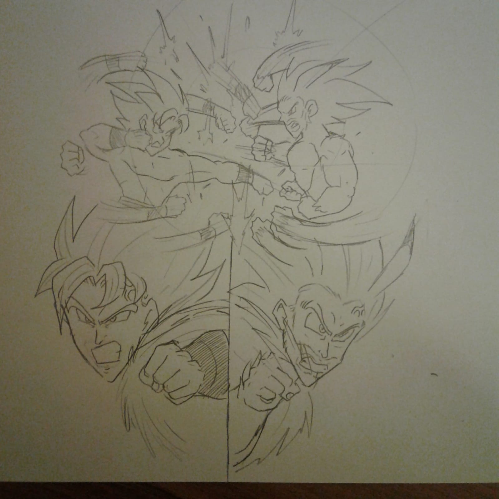 gokuvschris3.jpeg