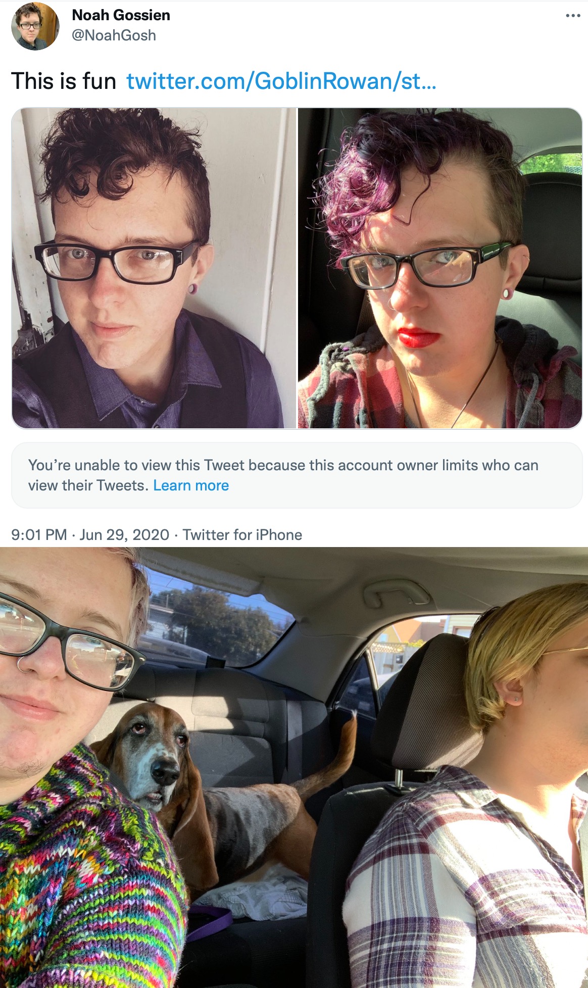 gross 3.jpeg