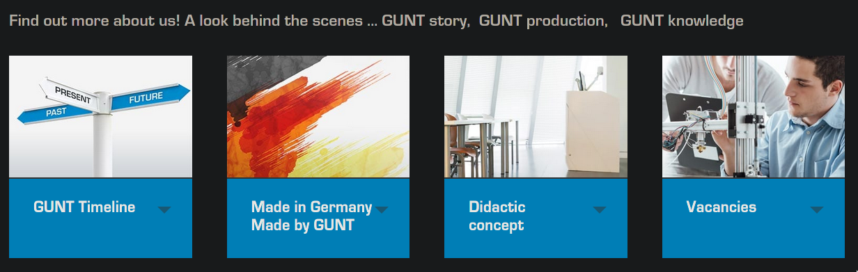 gunt_website.png