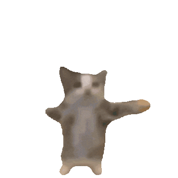 happy-cat-happy-happy-cat-gif.5775044
