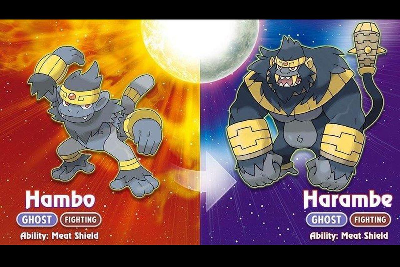 harambe_main.0.0.jpg