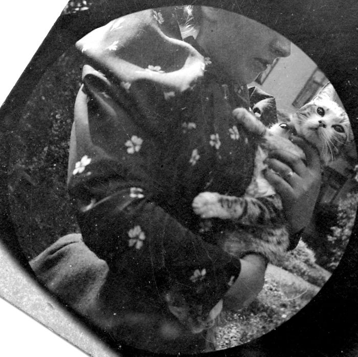 Hiddencamera4.jpg