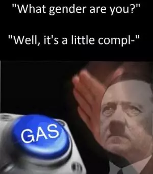 Hitler_solution_to_gender_issues.webp