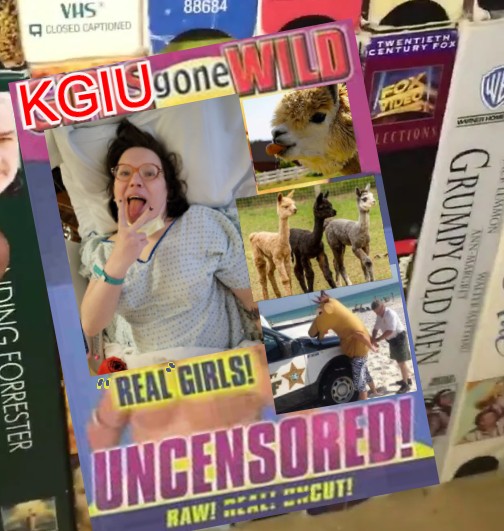 HOGWILD.jpeg
