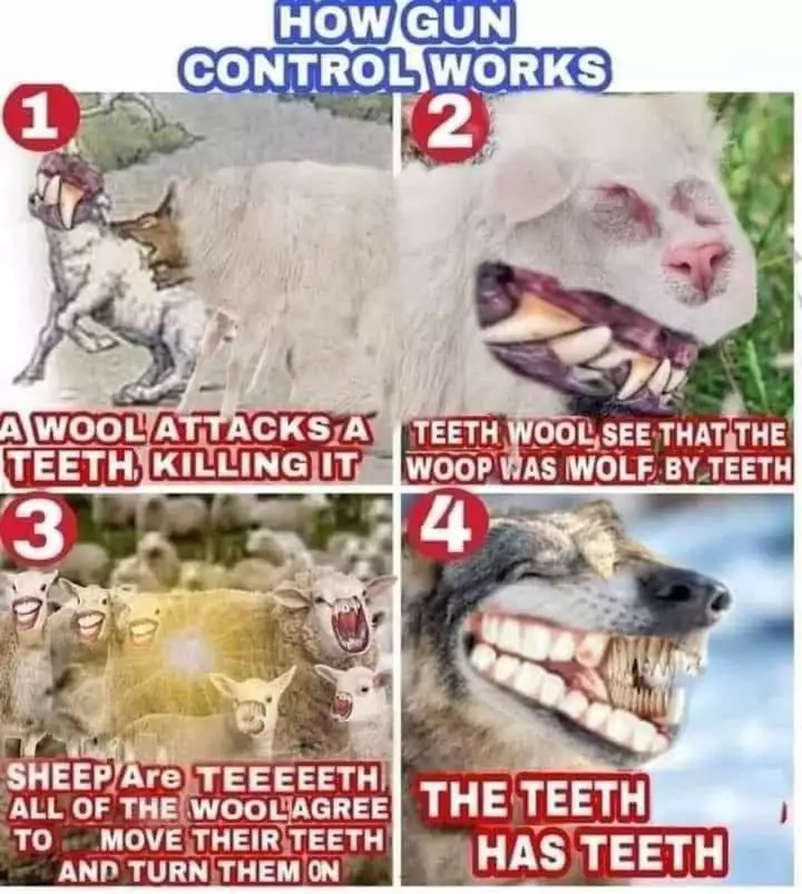 how gun control works.webp