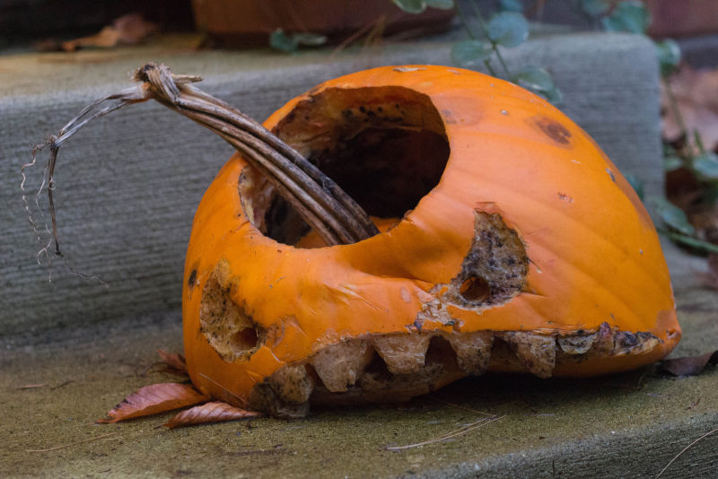 How to Avoid a Rotten Jack-O'-Lantern_lifehacker.jpg