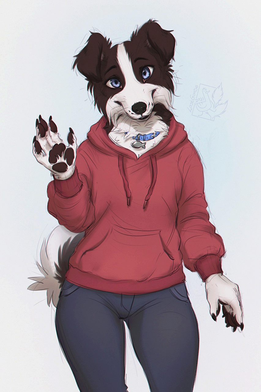 huggable collie o algo.png