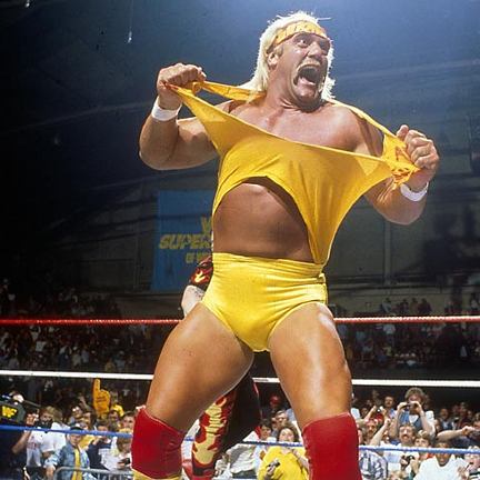 hulk-hogan-0-0-0x0-432x4321_original.jpeg