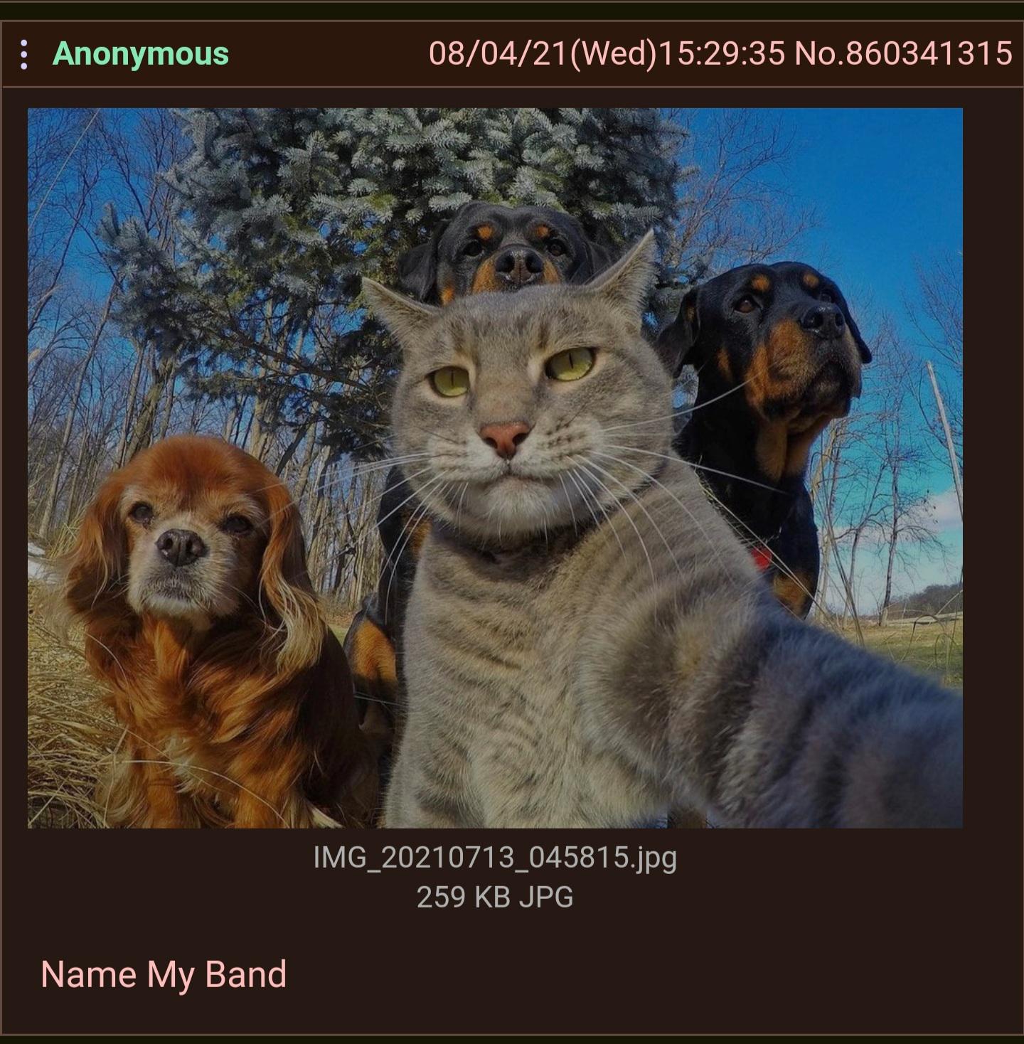 humanz.jpg