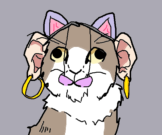 If I see that fucking cat one more time.png