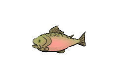 image.gif