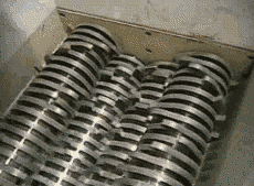 image.gif