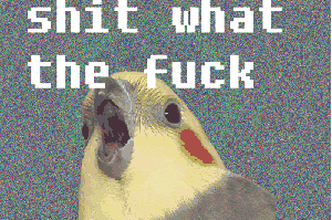 image.gif