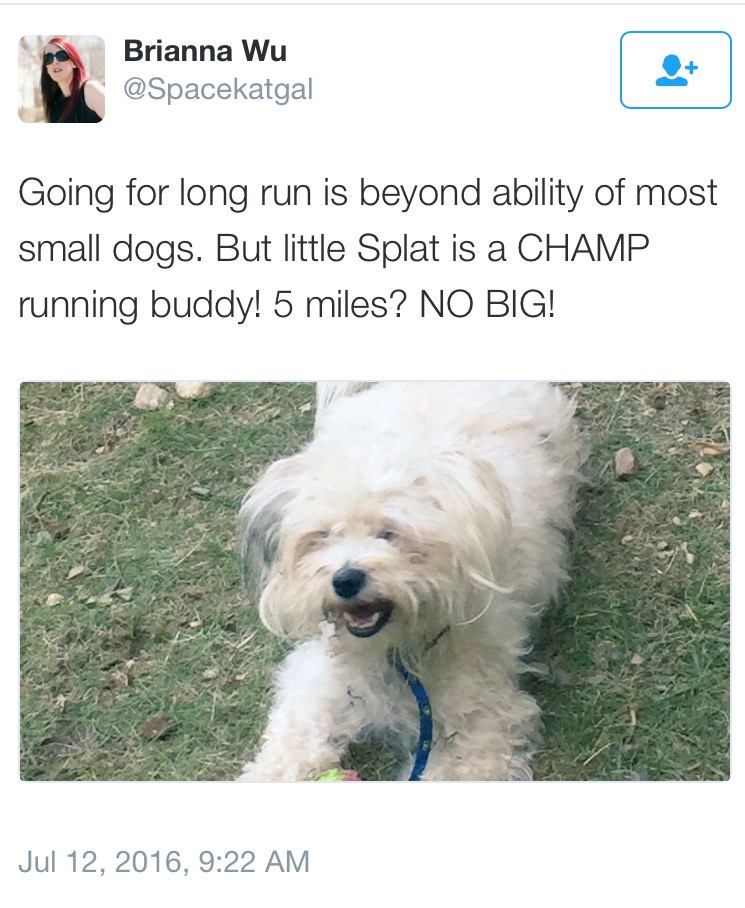 image.jpeg