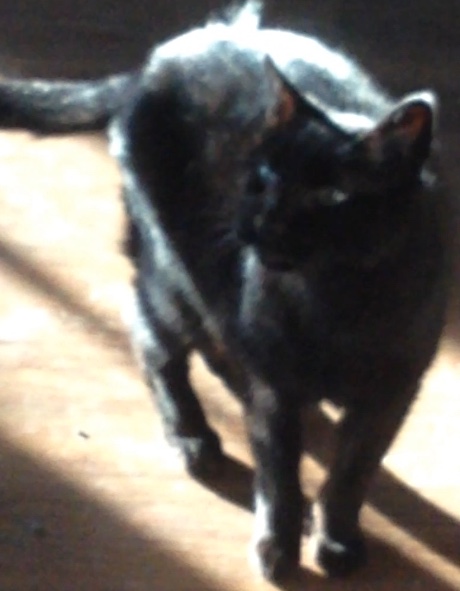 image.jpeg
