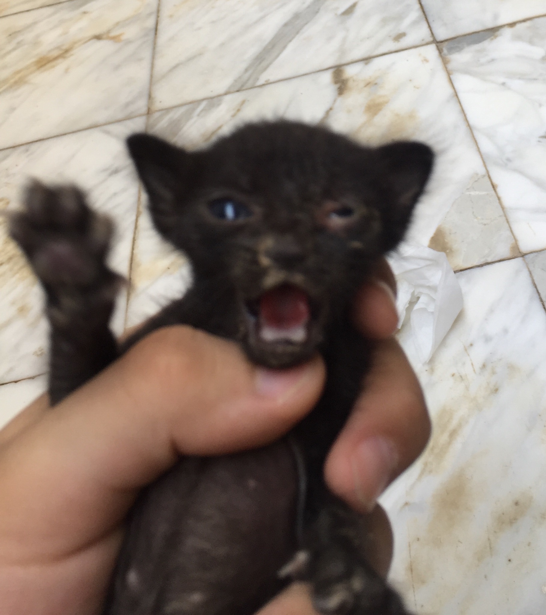 image.jpeg