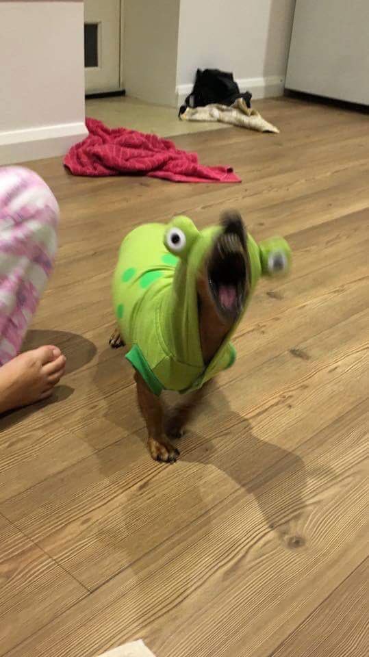 image.jpeg