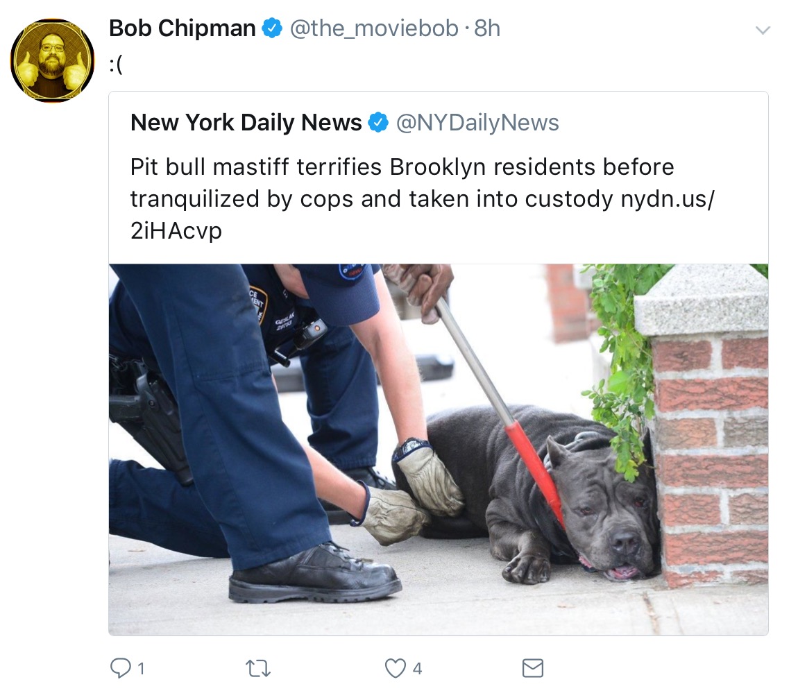 image.jpeg