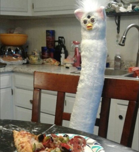 image.jpeg