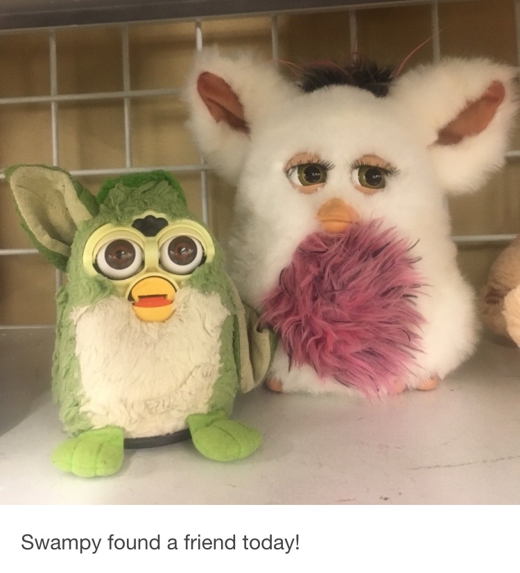 image.jpeg