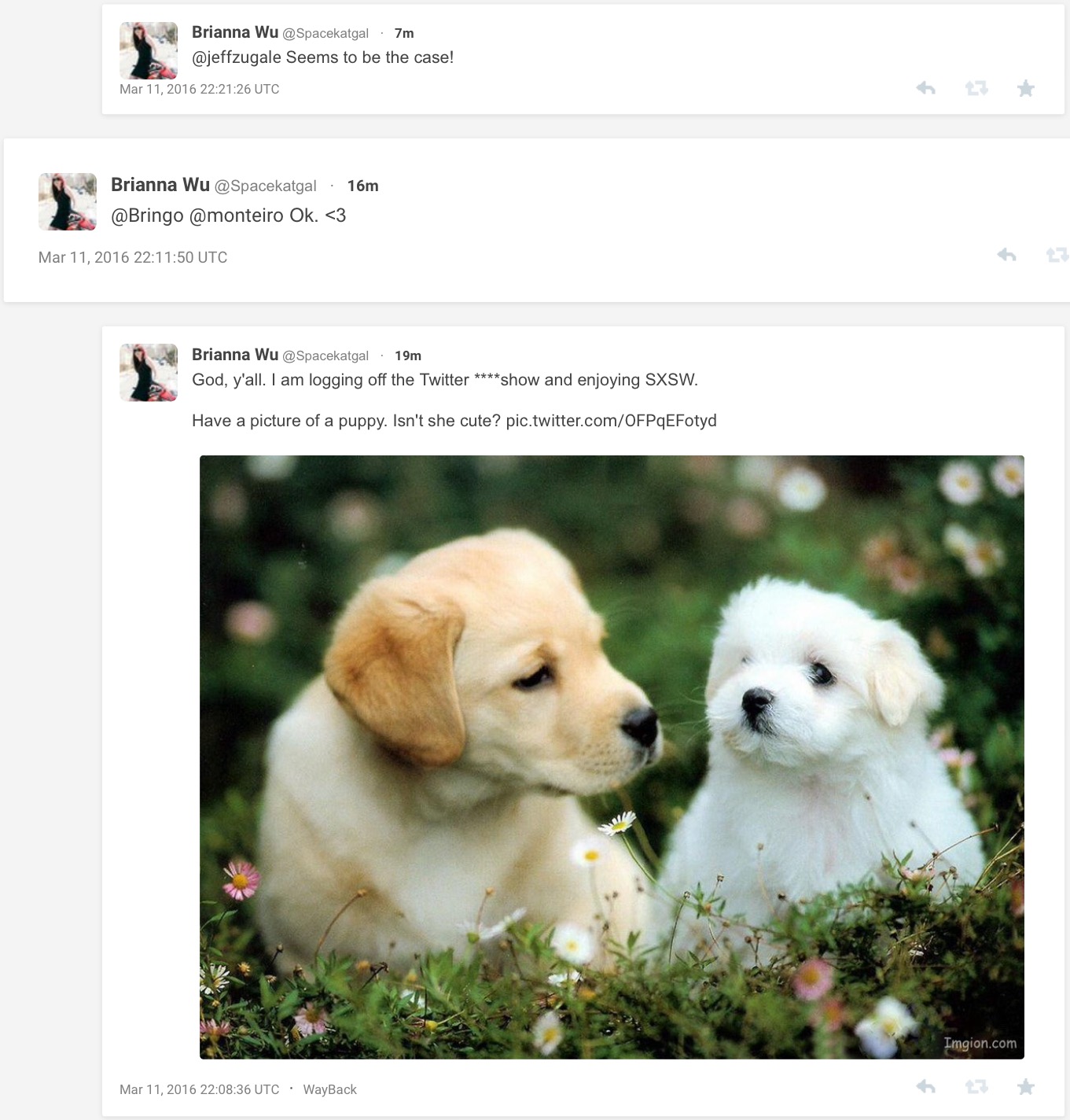 image.jpeg