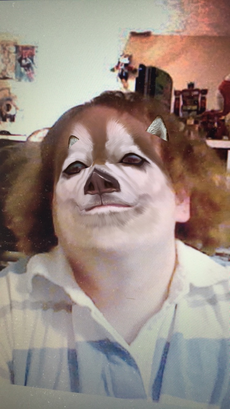 image.jpeg