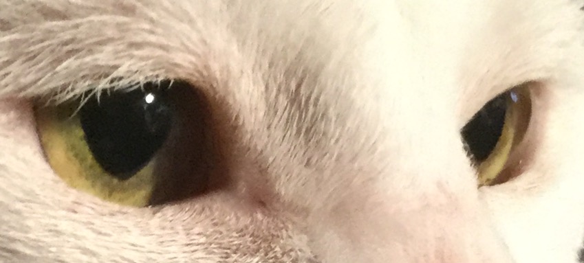 image.jpeg