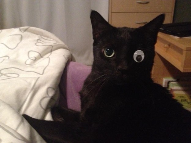 image.jpg