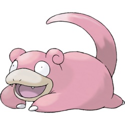 image.jpg