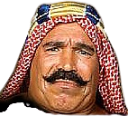 image-removebg-preview.png