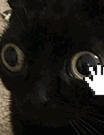 image0-7-1.gif